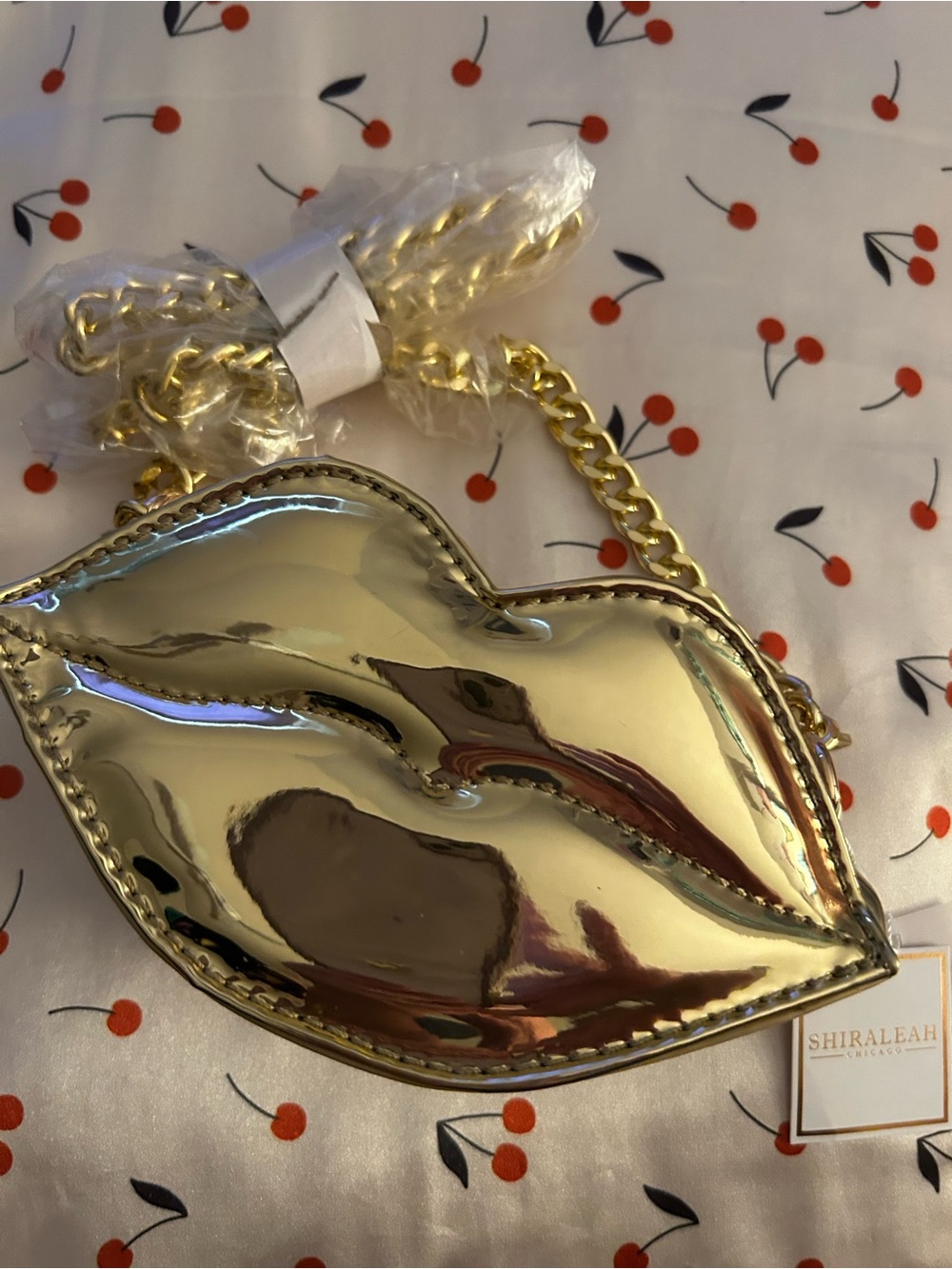 NWT Shiraleah Lips Bag